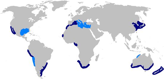Bronze Whaler Shark Habitat Map