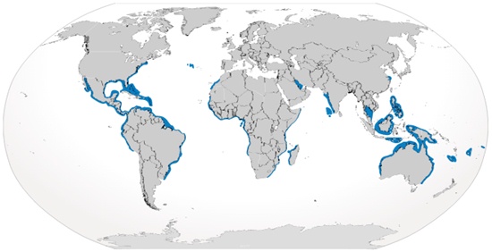 Bull Shark Habitat Map