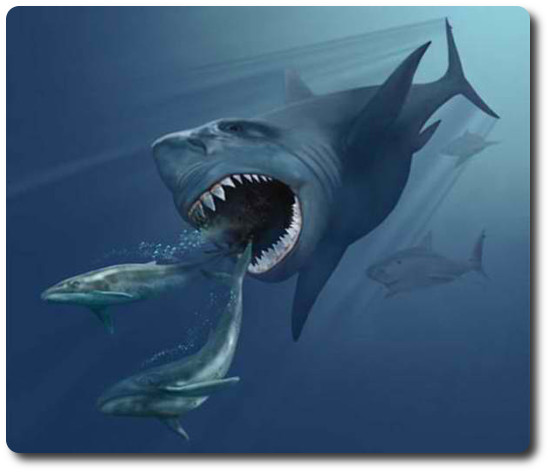 Great Megalodon Shark