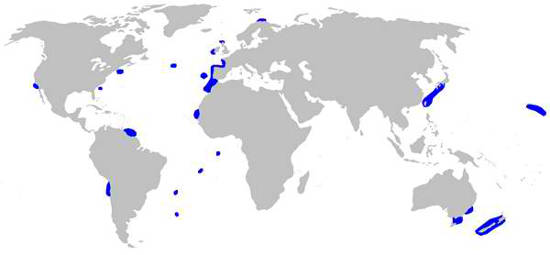 Frilled Shark Habitat Map