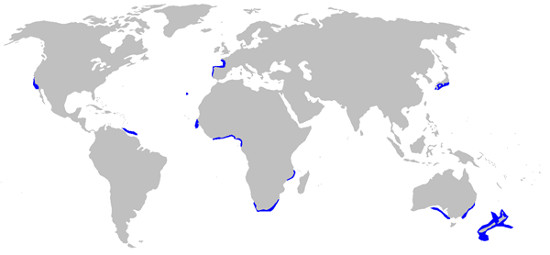 Goblin Shark Habitat Map