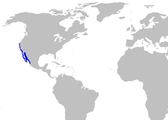 Horn Shark Habitat Map