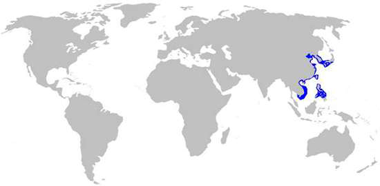 Jabpanese Wobbegong Habitat Map