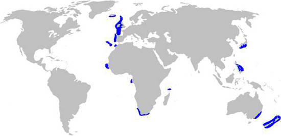 Leafscale Gulper Shark Habitat Map