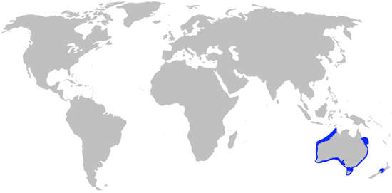 Port Jackson Shark Habitat Map