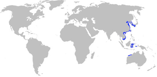 Zebra Bullhead Shark Habitat Map