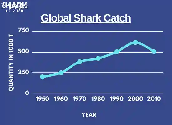 Global Shark Catch
