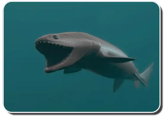 scariest looking shark
