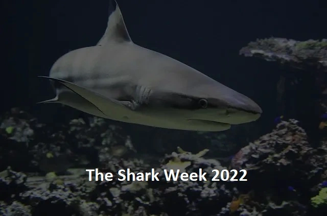 shark week 2022