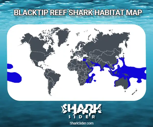 Blacktip Reef Shark Habitat Map