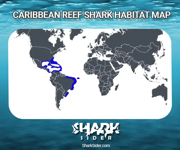 Caribbean Reef Shark Habitat Map