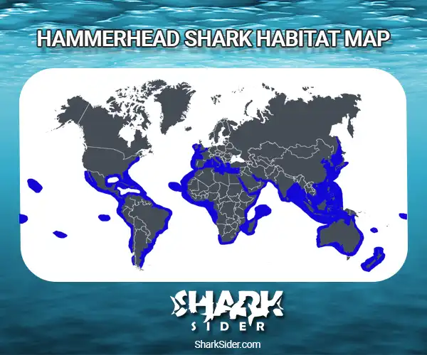 Hammerhead Shark Habitat Map