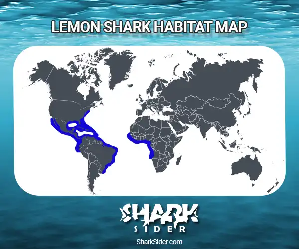 Lemon Shark Habitat Map
