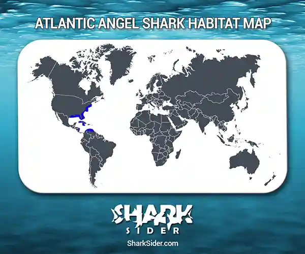 Atlantic Angel Shark Habitat Map