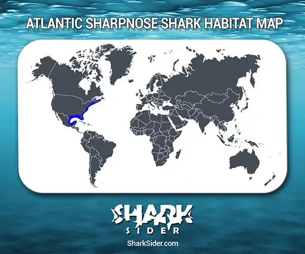 Atlantic Sharpnose Shark Habitat Map