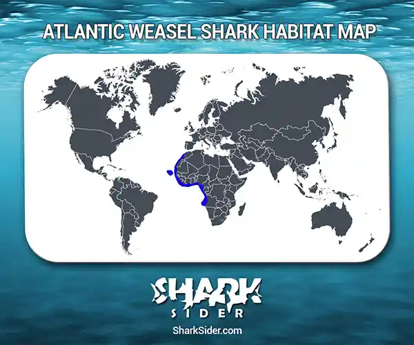 Atlantic Weasel Shark Habitat Map