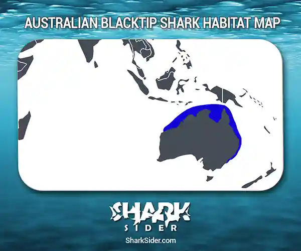 Australian Blacktip Shark Habitat Map