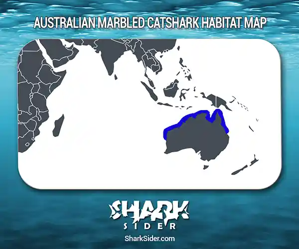 Australian Marbled Catshark Habitat Map