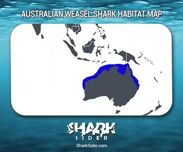 Australian Weasel Shark Habitat Map