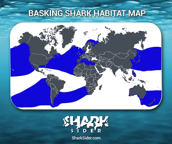 Basking Shark Habitat Map
