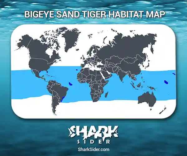 Bigeye Sand Tiger Habitat Map