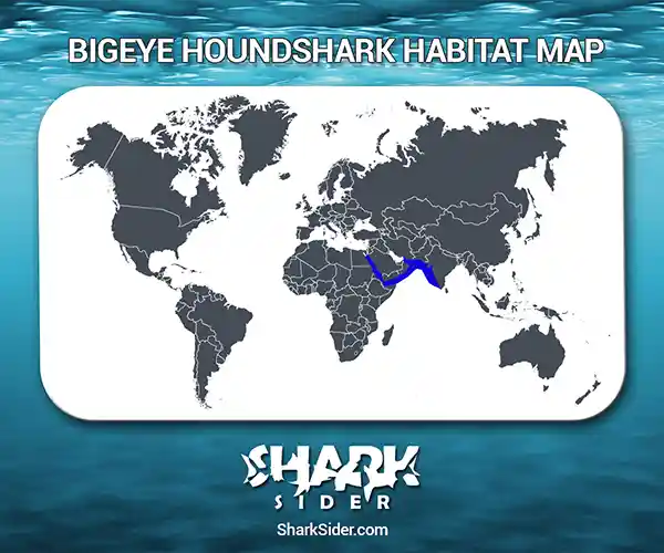 Bigeye houndshark Habitat Map