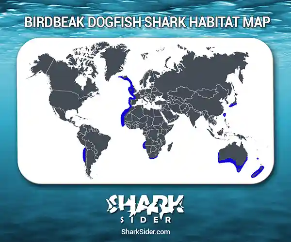 Birdbeak Dogfish Shark Habitat Map