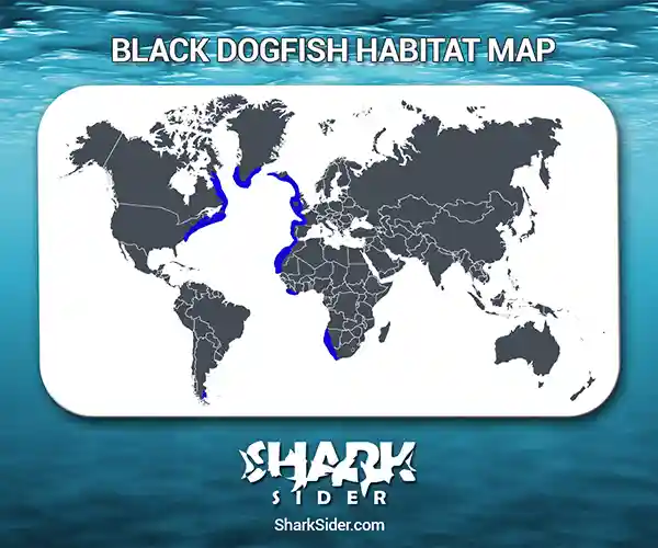 Black Dogfish Habitat Map