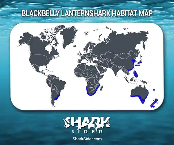Blackbelly Lanternshark Habitat Map