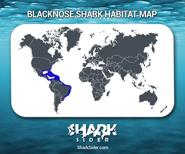 Blacknose Shark Habitat Map