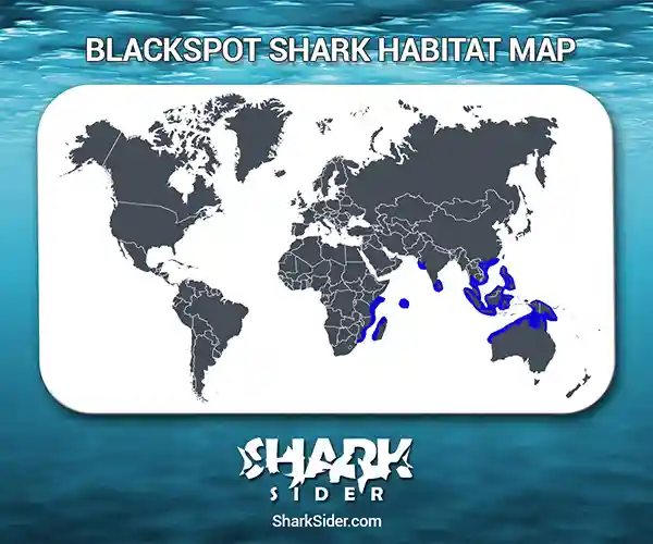 Blackspot Shark Habitat Map