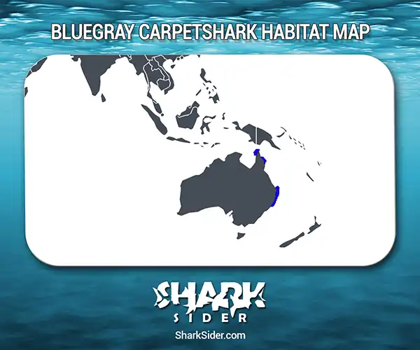 Bluegray Carpetshark Habitat Map