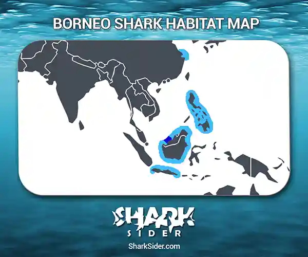 Borneo Shark Habitat Map