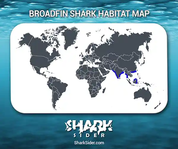Broadfin Shark Habitat Map