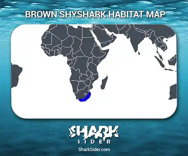 Brown Shyshark Habitat Map