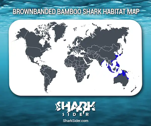 Brownbanded Bamboo Shark Habitat Map