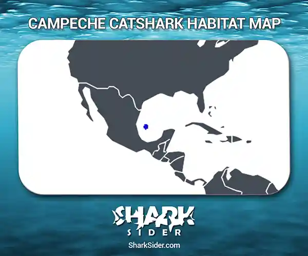 Campeche catshark Habitat Map