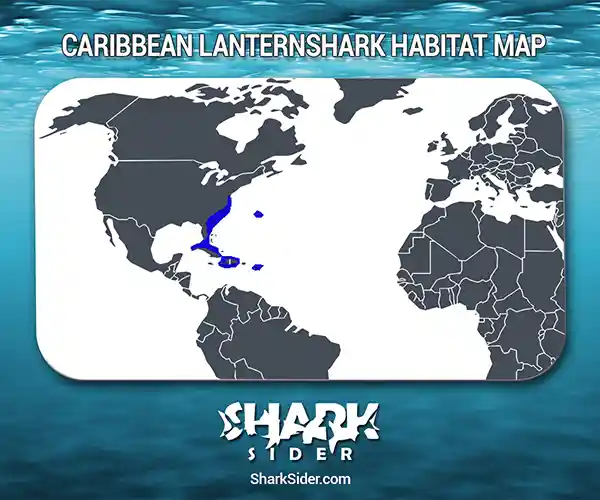 Caribbean lanternshark Habitat Map
