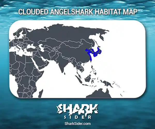 Clouded angelshark Habitat Map