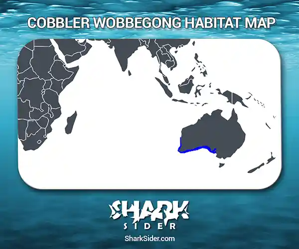 Cobbler wobbegong Habitat Map