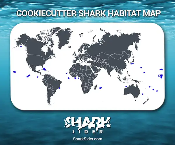 Cookiecutter Shark Habitat Map