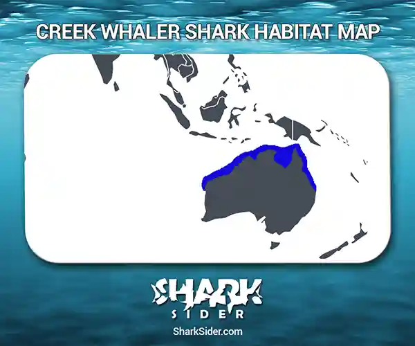 Creek whaler Shark Habitat Map
