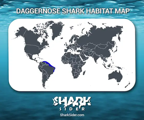 Daggernose Shark Habitat Map