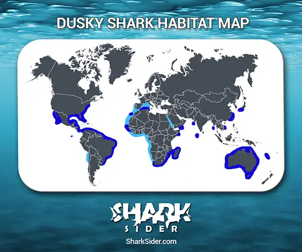 Dusky Shark Habitat Map
