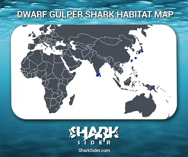 Dwarf Gulper Shark Habitat Map