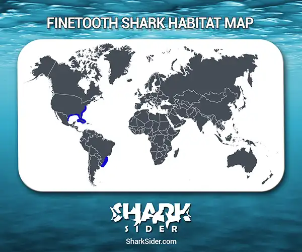 Finetooth Shark Habitat Map