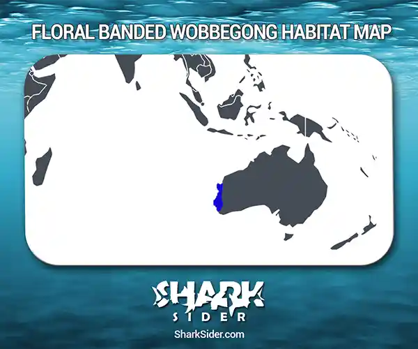 Floral banded wobbegong Habitat Map
