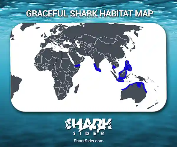 Graceful Shark Habitat Map