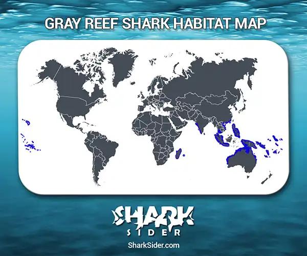 Gray Reef Shark Habitat Map