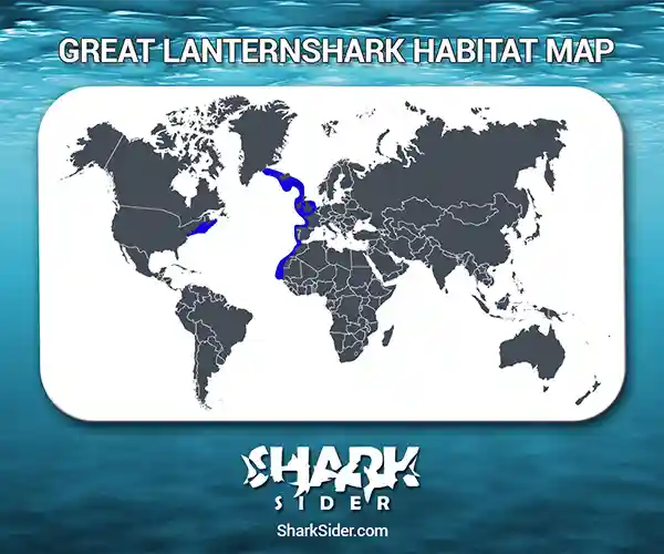 Great Lanternshark Habitat Map
